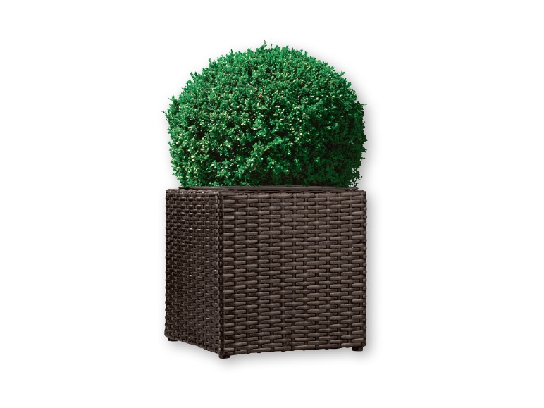 Florabest Wicker Planter