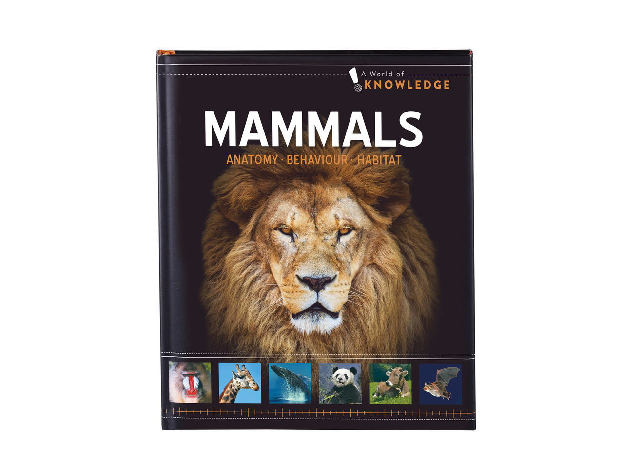 Kids' Educational Book1