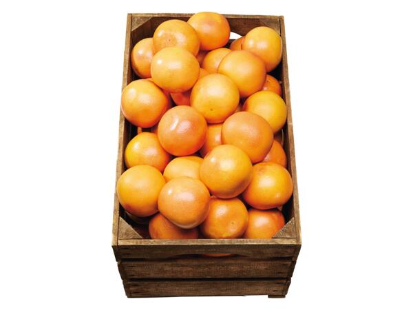 Grapefrukt