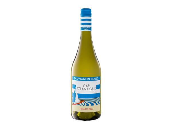 SAUVIGNON BLANC