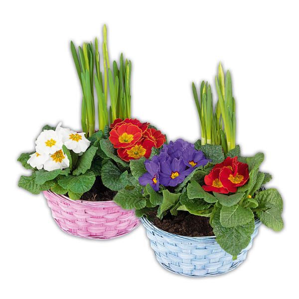 Bunter Frühlingskorb