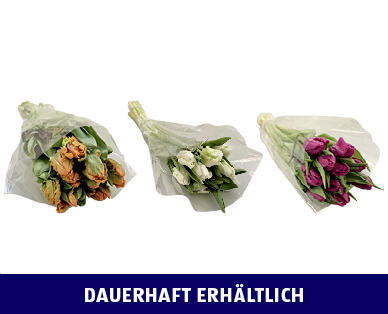 TULPEN BOUQUET