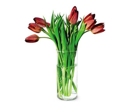 10-Stem Tulip Bouquet Assorted Colors