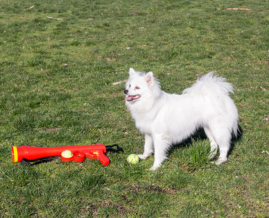 Heart to Tail Tennis Ball Launcher