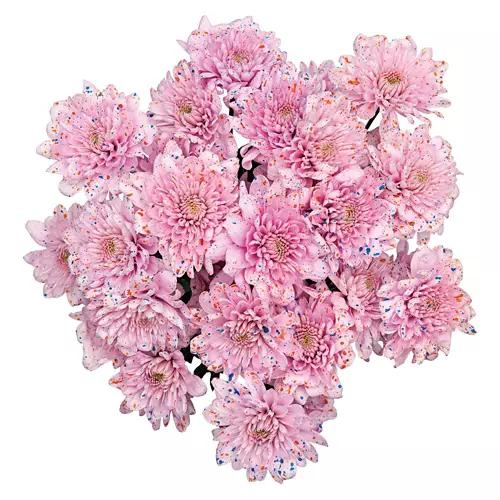 Fresh Flower Bouquet - Assorted Color
