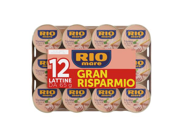 Tuna in Olive Oil