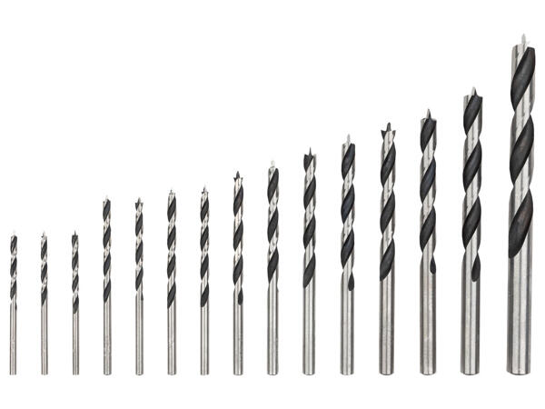 Drill Bit Set or Screwdriver Bit Set