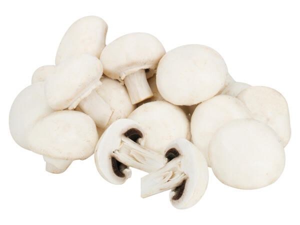 Champignons weiß