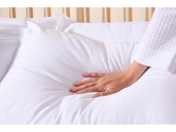 Anti-Allergy Pillows
