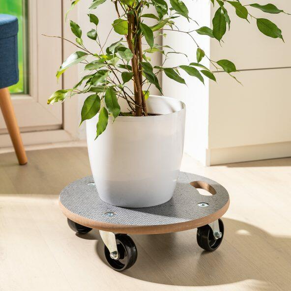 Transportroller