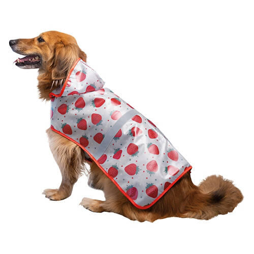Pet Rain Jacket - Strawberries, M