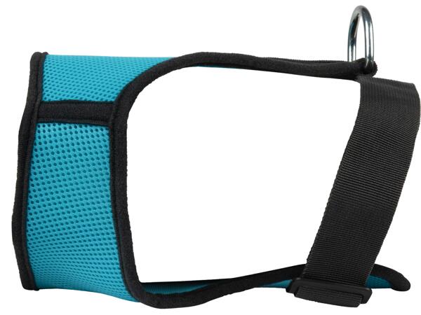 Dog Harness