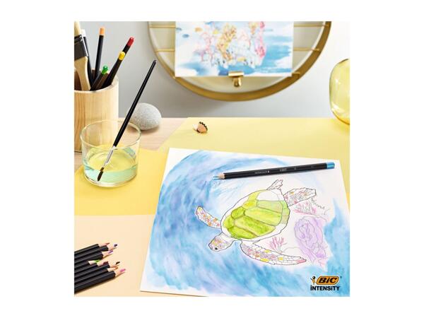 BIC Watercolour Pencils - 12 pack
