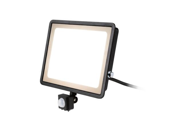 LED Outdoor Light