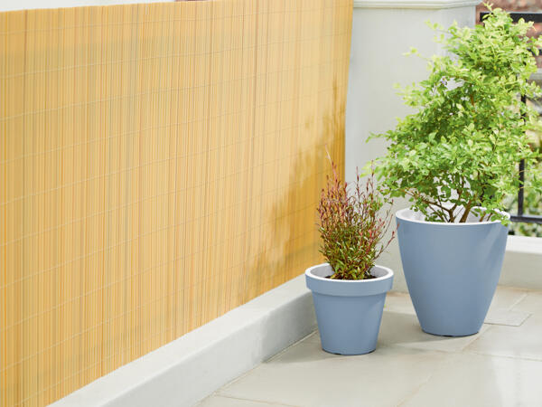 Privacy Screen