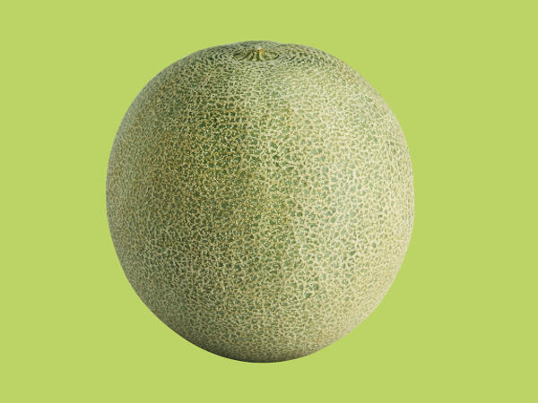 Oaklands Cantaloupe Melon