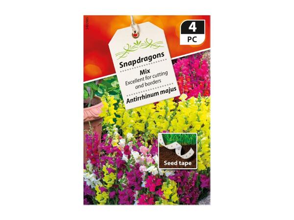 Premium Flowering Seed Tape