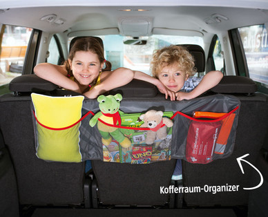 Auto-Organizer