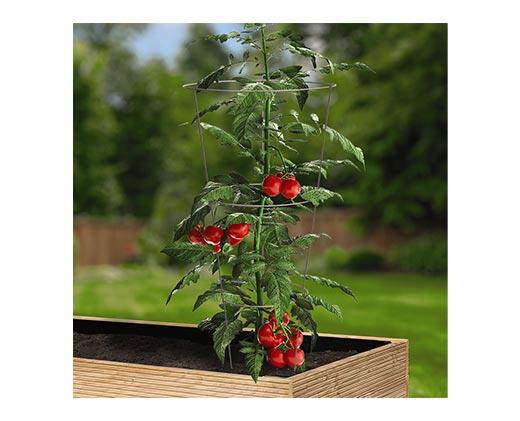 Gardenline 
 Tomato Cage