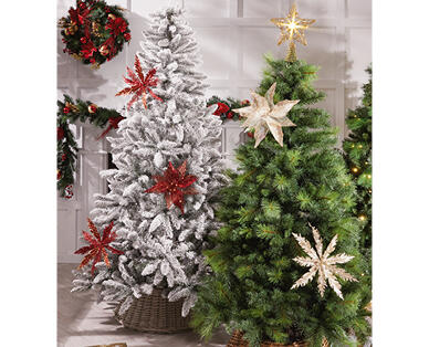 Premium Tree Picks
