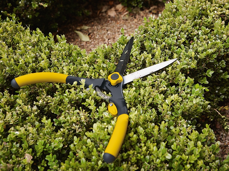 FLORABEST Shrub & Hedge Shears