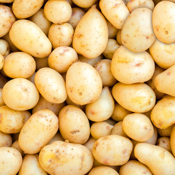 Speisekartoffeln