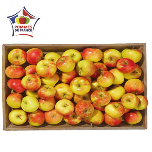 Pommes bicolores "Natti"