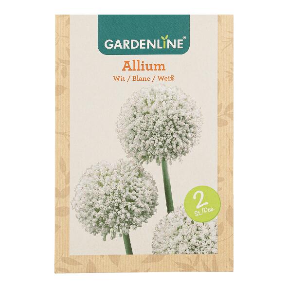 GARDENLINE(R) 				Bulbes à fleurs ail d'ornement