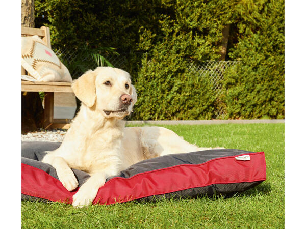 Outdoor Dog Bed