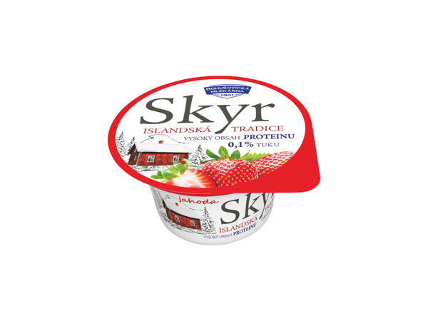 SKYR OCHUCENÝ