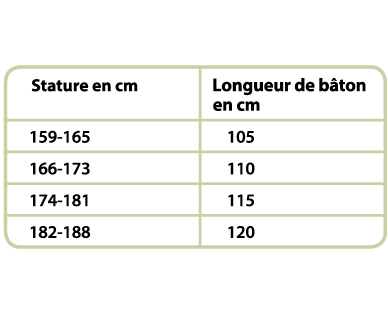 Bâtons de marche nordique ADVENTURIDGE(R)