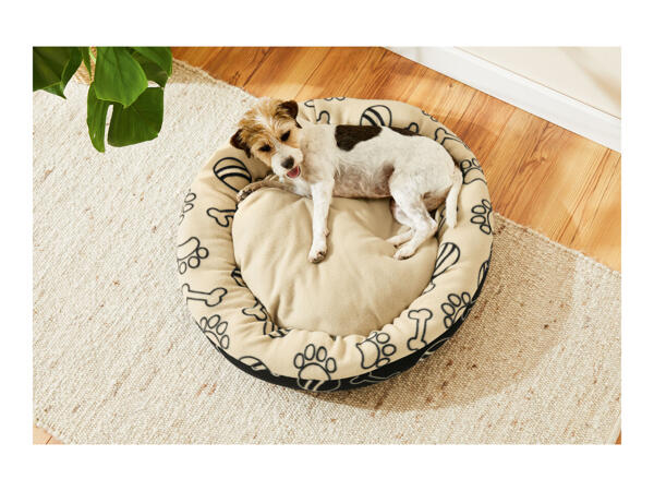 Zoofari Dog Bed