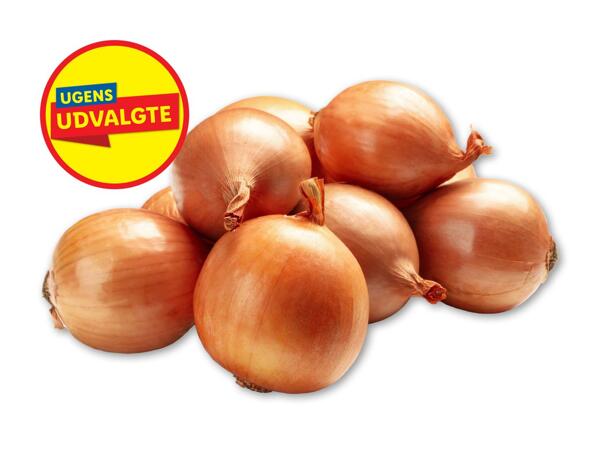 Danske løg