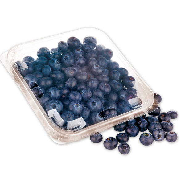 Premium Heidelbeeren