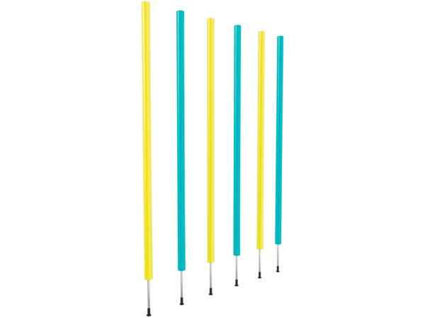 Dog Agility Set