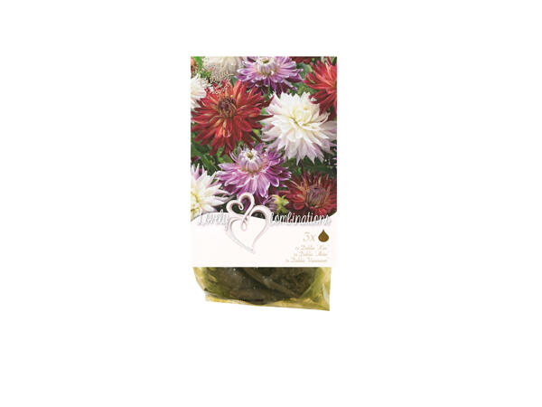 Bulbs ‘Lovely Combinations'