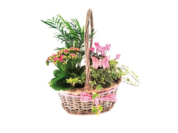 Mother's Day Large Oval Basket