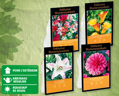 Bulbes à fleur exclusifs GARDENLINE(R)