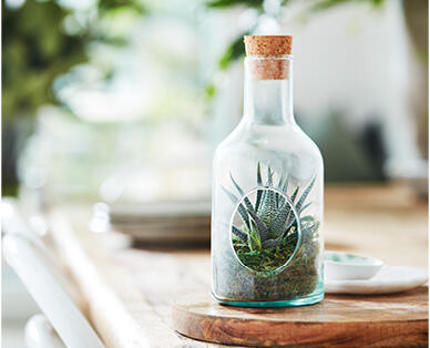 Glass Bottle Terrarium 90mm