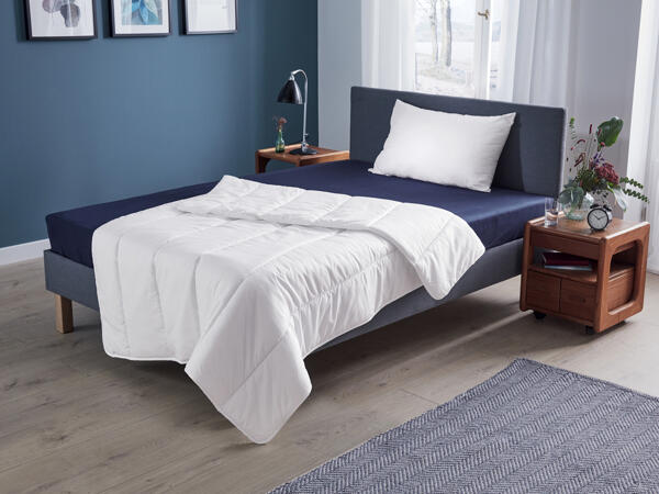 Dust Mite Proof Pillow