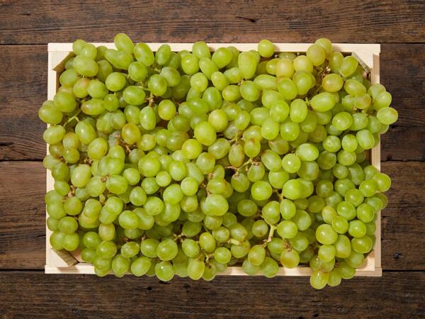 Raisins blancs sans pépins