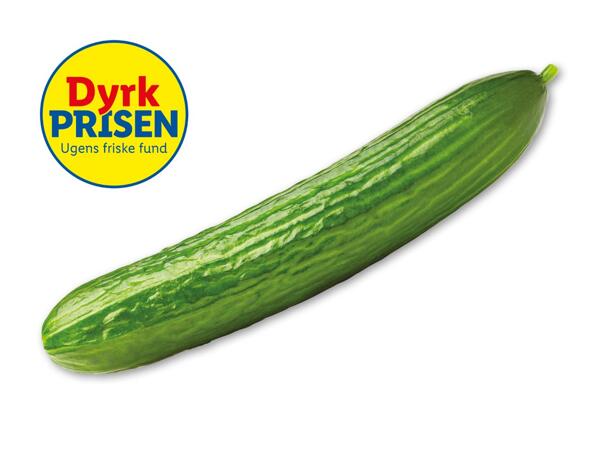 Dansk agurk
