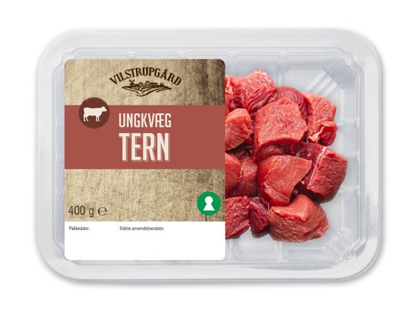 VILSTRUPGÅRD Ungkvæg i tern
