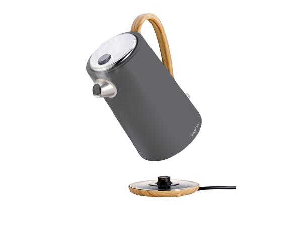 RYCHLOVARNÁ KONVICE 3 100 W