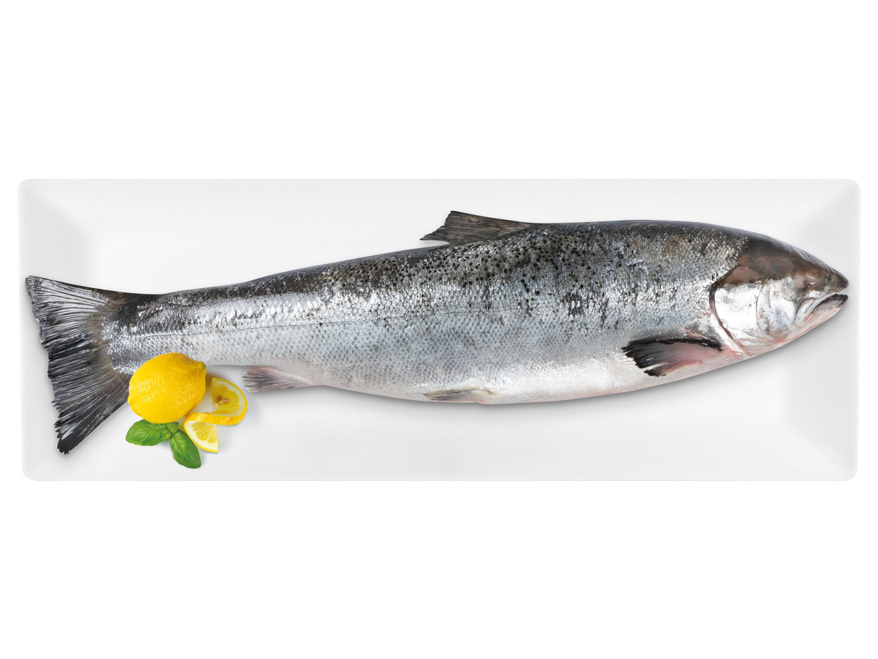 FISCHERSTOLZ Lachs ganz mit Kopf