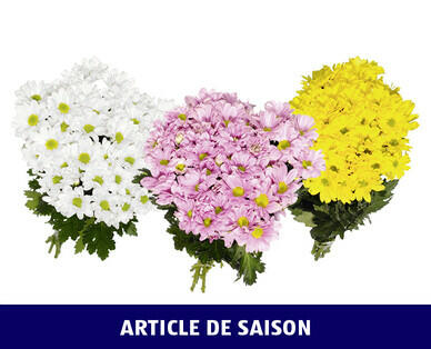 BOUQUET DE CHRYSANTHÈMES