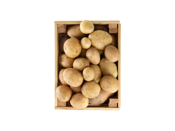 Potatis