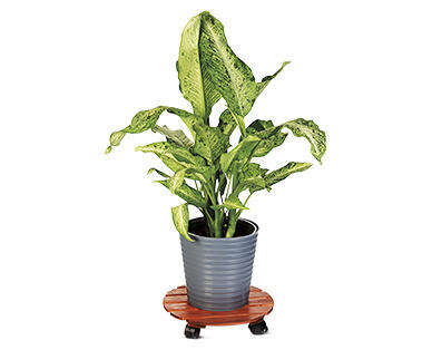 Gardenline Plant Caddy