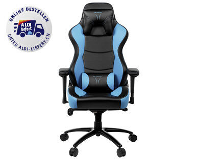 MEDION(R)
ERAZER(R) X89018 GAMING STUHL