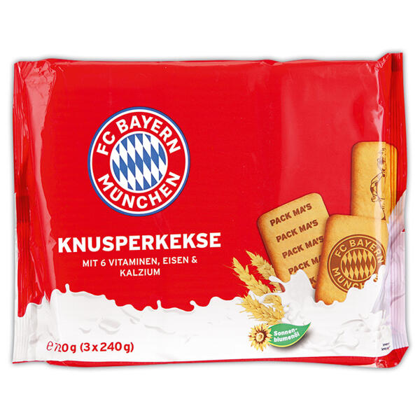 FCB/BVB FanMix